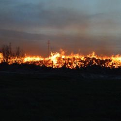 Afyonkarahisar'daki biyokütle enerji santralinde yangın