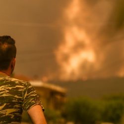 Akdeniz'de orman yangınları | Cezayir'de 42 kişi hayatını kaybetti