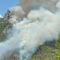 Alanya'da ormanlık alandaki yangın söndürüldü