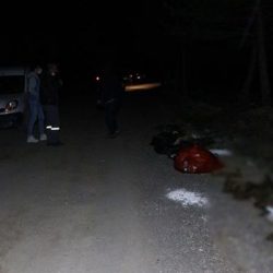 Ankara'da damar yolu açılmış 30'dan fazla köpek ölü bulundu