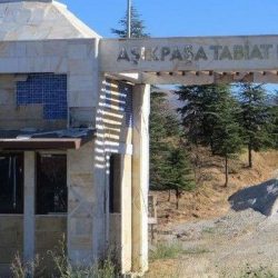 Bakanlık, CHP kazandığı için belediyeye vermediği parkı ihaleye açtı