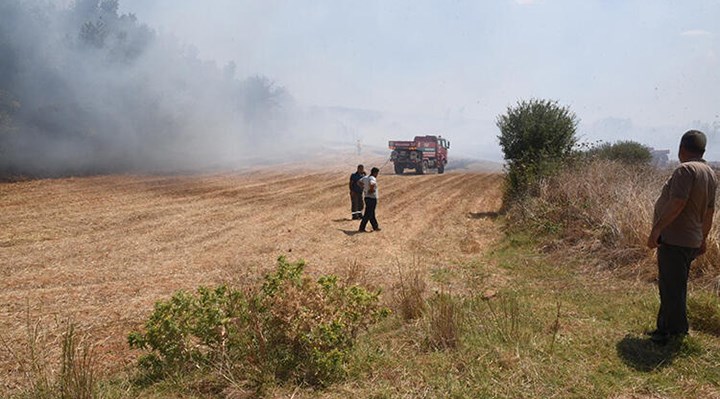 Edirne'de orman yangınına neden olan kişiye 155 bin lira tazminat cezası