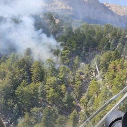 Manavgat'ta orman yangını büyümeden söndürüldü