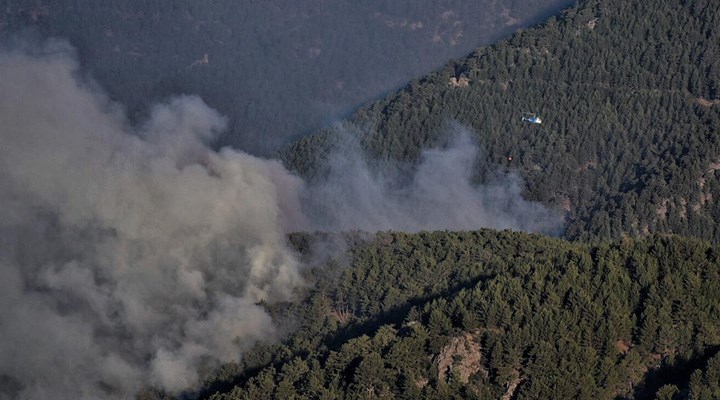 Mersin'de dün çıkan orman yangınına havadan ve karadan müdahale ediliyor