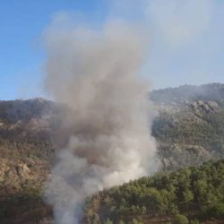 Milas ve Adana'da orman yangını