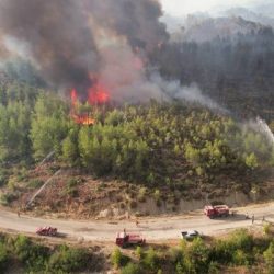 Orman Bölge Müdürü: Manavgat'taki yangında dumanın ısıttığı yer yanmaya başladı
