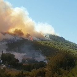 Osmaniye'de orman yangını: Köylüler tahliye edildi