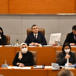 'Şiddet gören kadınlara avukat desteği' AKP ve MHP'lilerin oylarıyla reddedildi