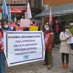SOL Parti Artvin: İstanbul Sözleşmesi bizim