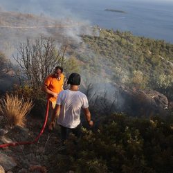 TÜSAD uyardı: Orman yangınları solunum sağlığı için de büyük tehdit