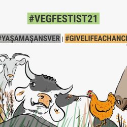 Uluslararası vegan festivali 3-4 Temmuz’da onlineda